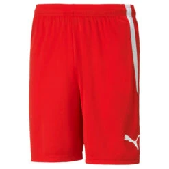 PUMA Mens TeamLIGA Football Shorts
