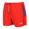 Regatta Rehere Men's Swim Shorts