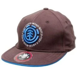 Elemental Kids Flat Cap